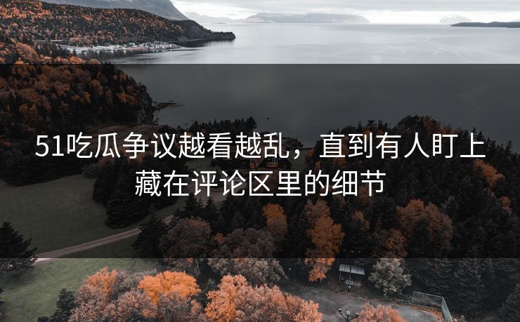 51吃瓜争议越看越乱，直到有人盯上藏在评论区里的细节