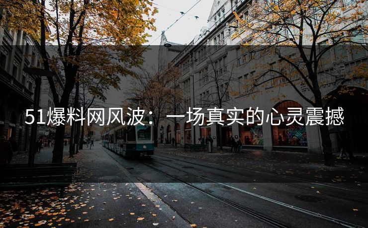 51爆料网风波：一场真实的心灵震撼