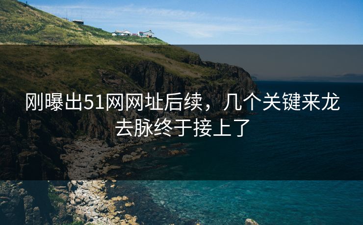 刚曝出51网网址后续,几个关键来龙去脉终于接上了