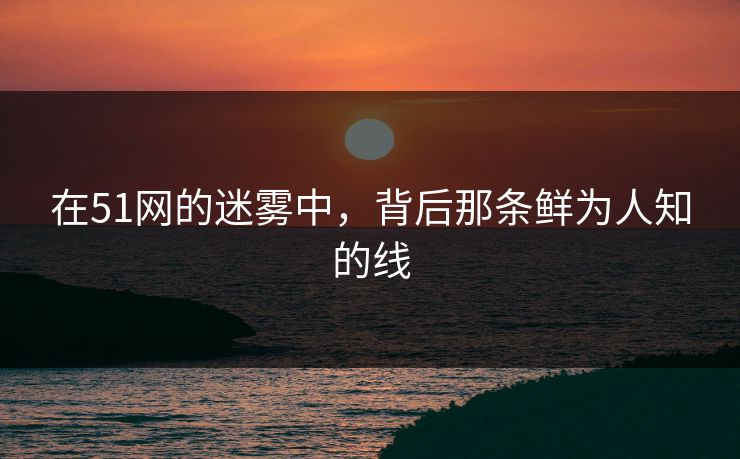 在51网的迷雾中，背后那条鲜为人知的线