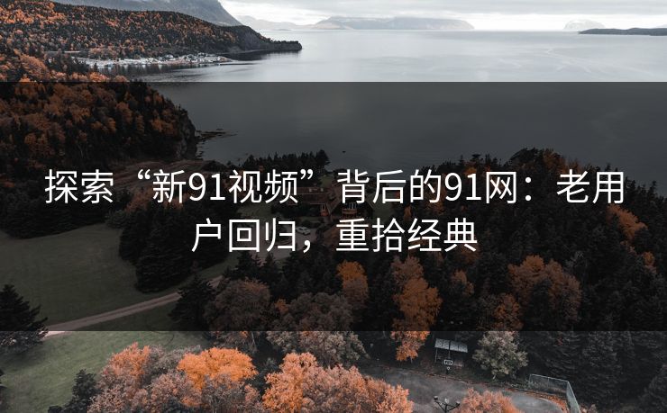 探索“新91视频”背后的91网：老用户回归，重拾经典