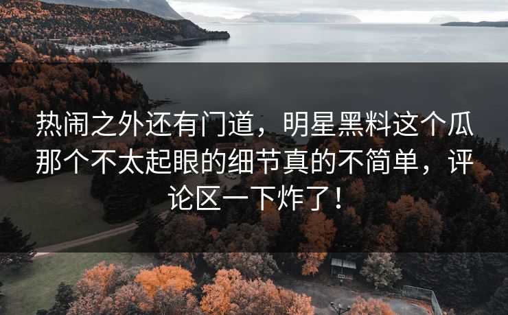热闹之外还有门道，明星黑料这个瓜那个不太起眼的细节真的不简单，评论区一下炸了！