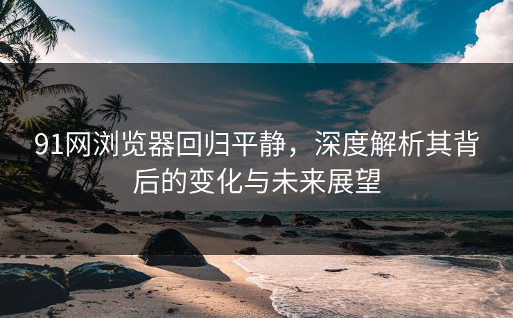 91网浏览器回归平静，深度解析其背后的变化与未来展望