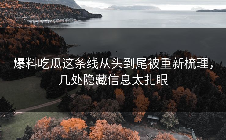 爆料吃瓜这条线从头到尾被重新梳理，几处隐藏信息太扎眼
